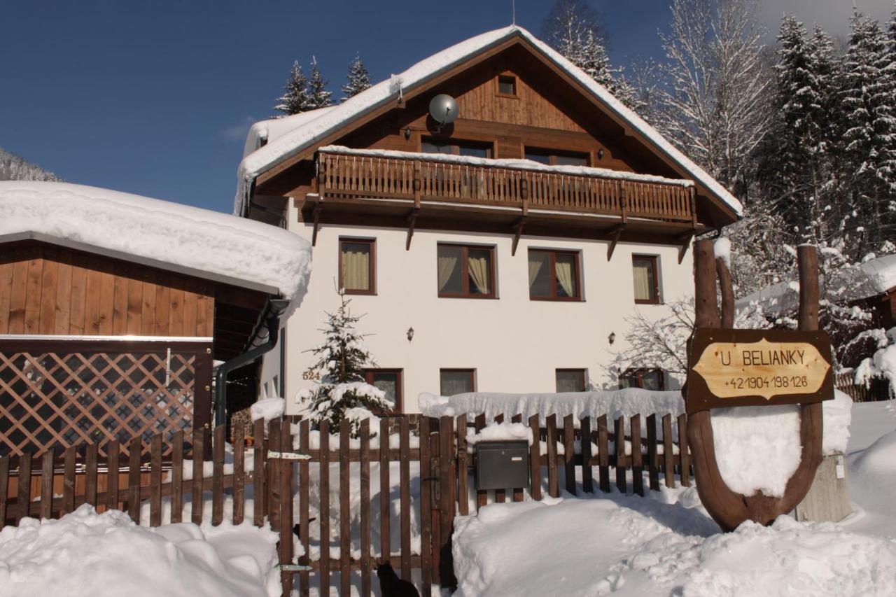 U Belianky Apartment Terchova Exterior photo